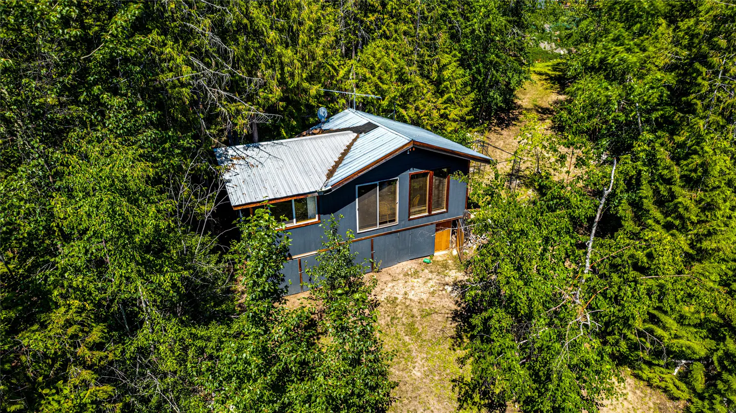Aerial view of a dark blue house with a silver metal roof, surrounded by green trees on a hillside.