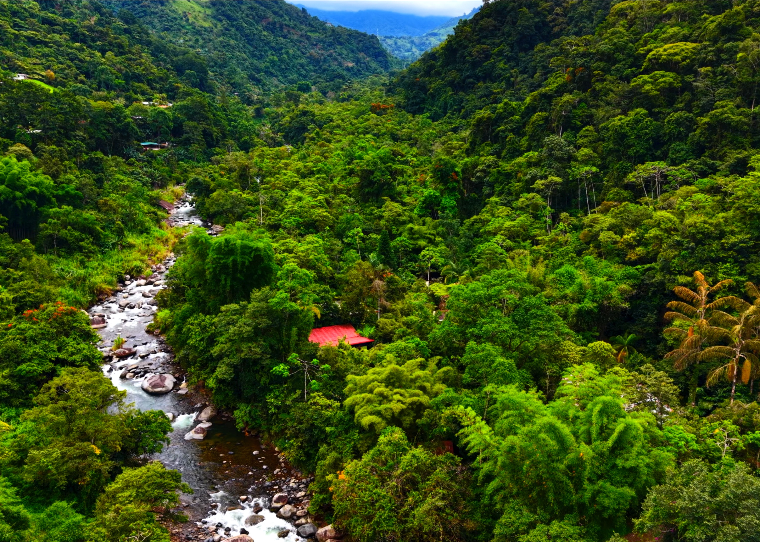 Casitas Chirripó | Cloud Forest Boutique Stay