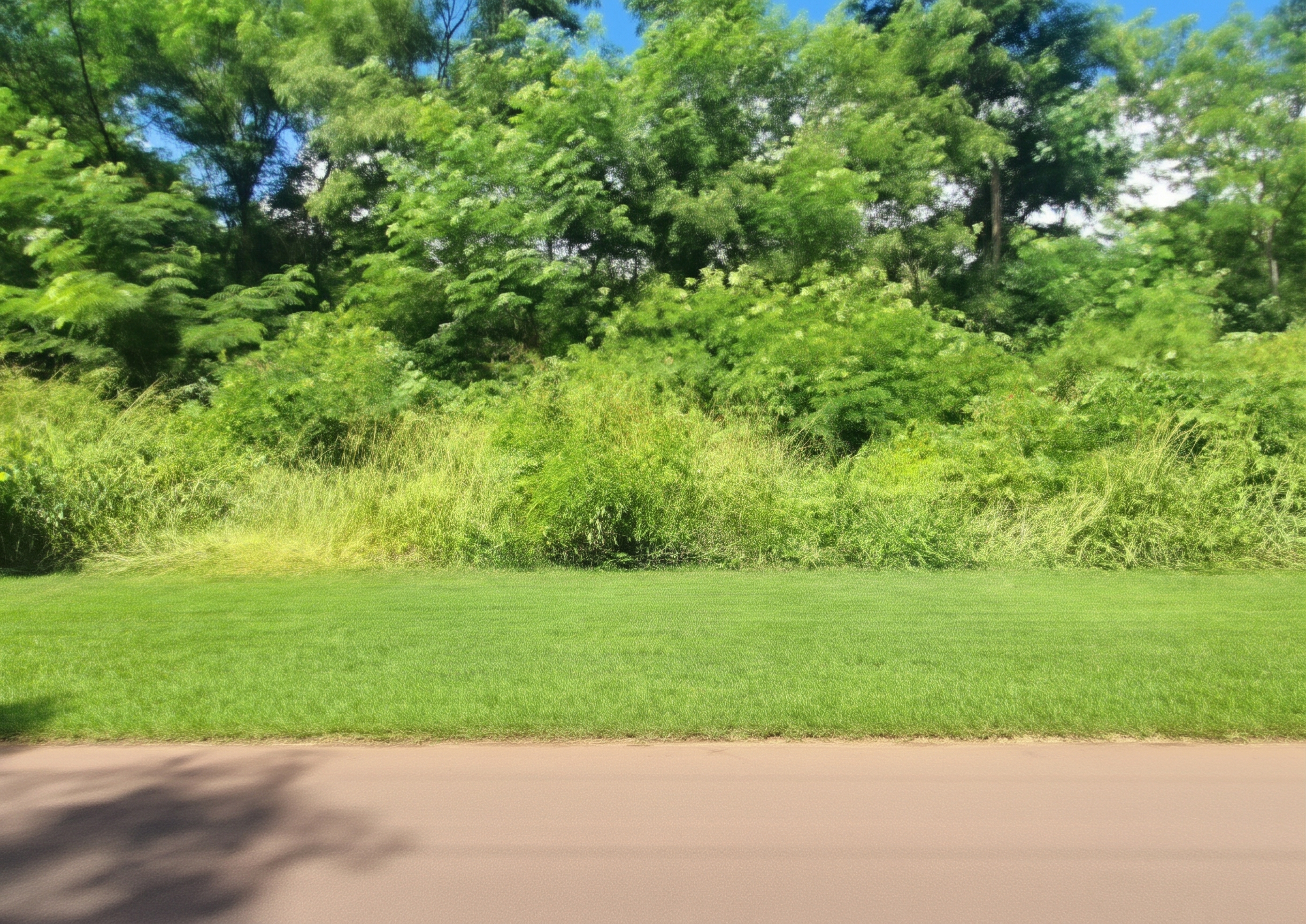 FOR SALE - Residential Land in Black River