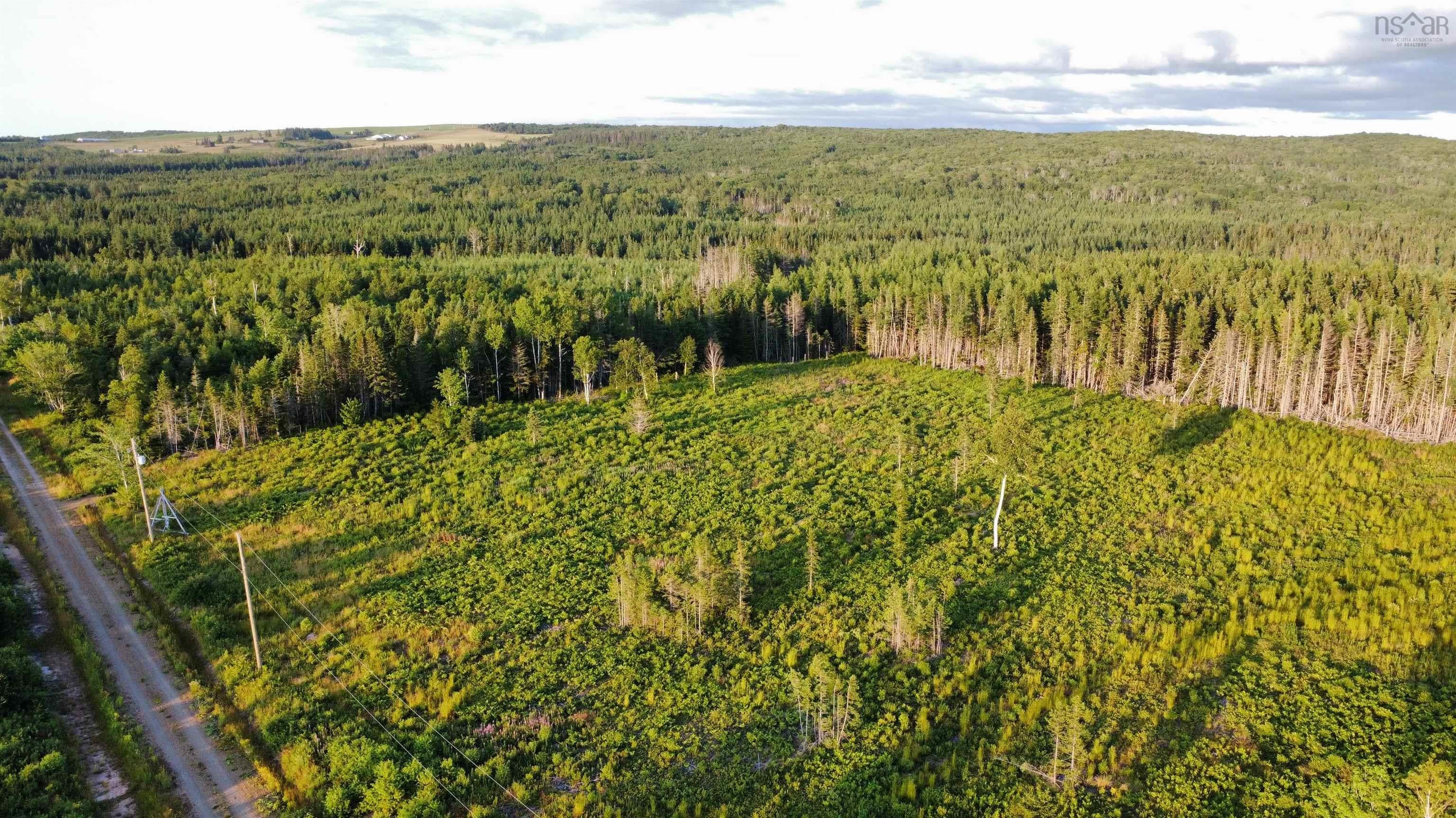 Level Cleared Land with Endless Possibilities