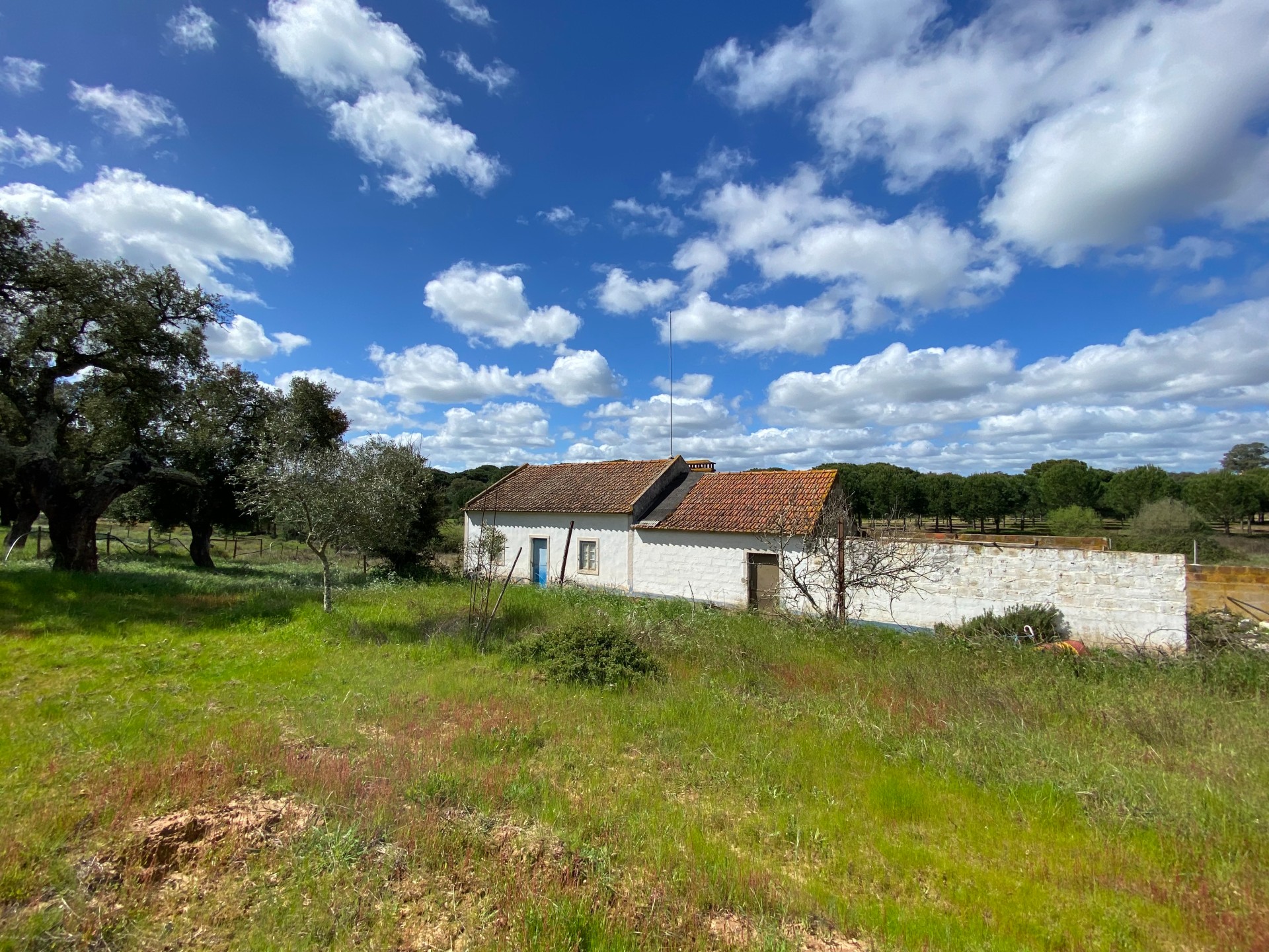 Building land in Grândola