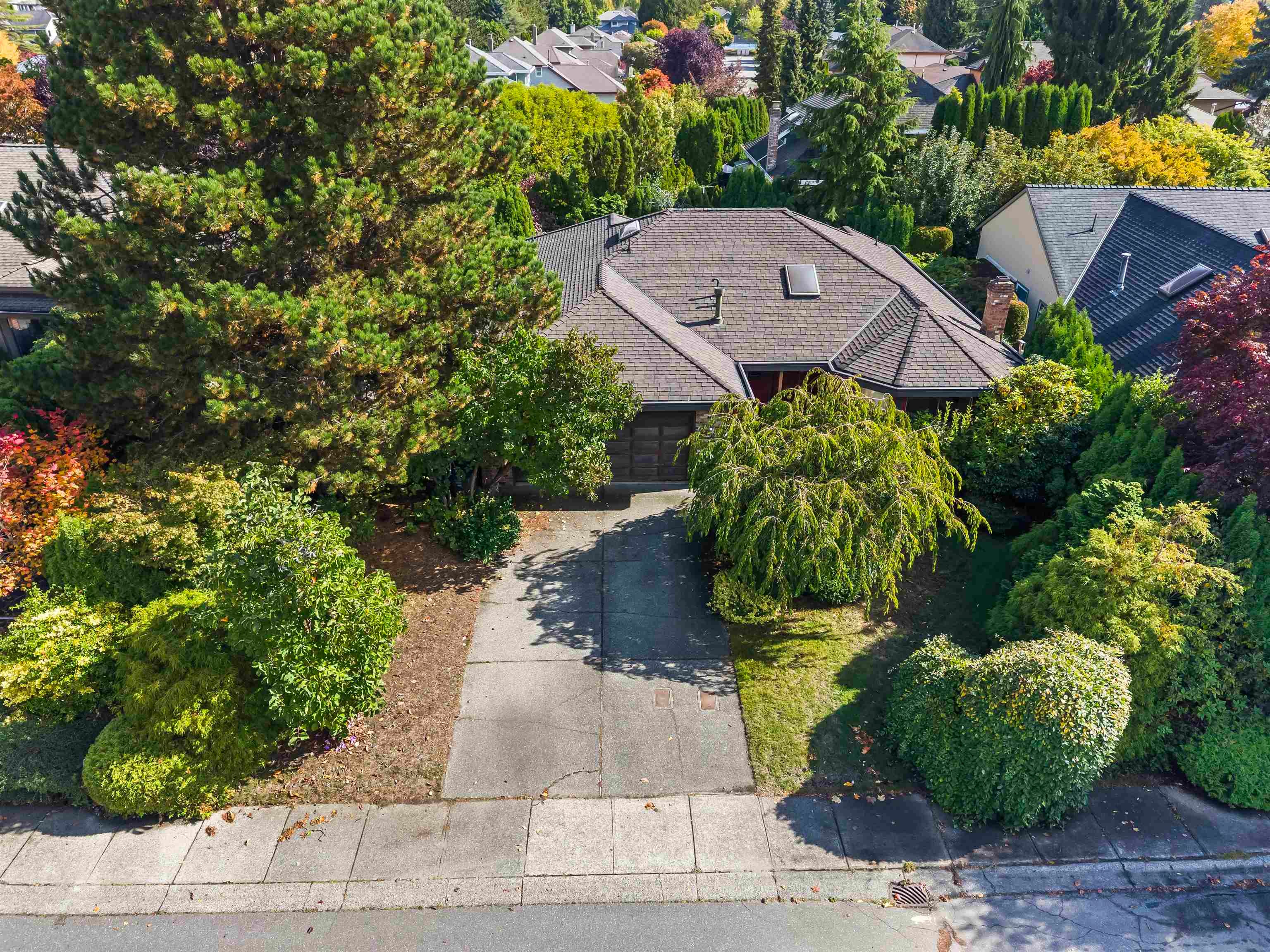 Natural Light, Solarium, and Generous Outdoor Living!