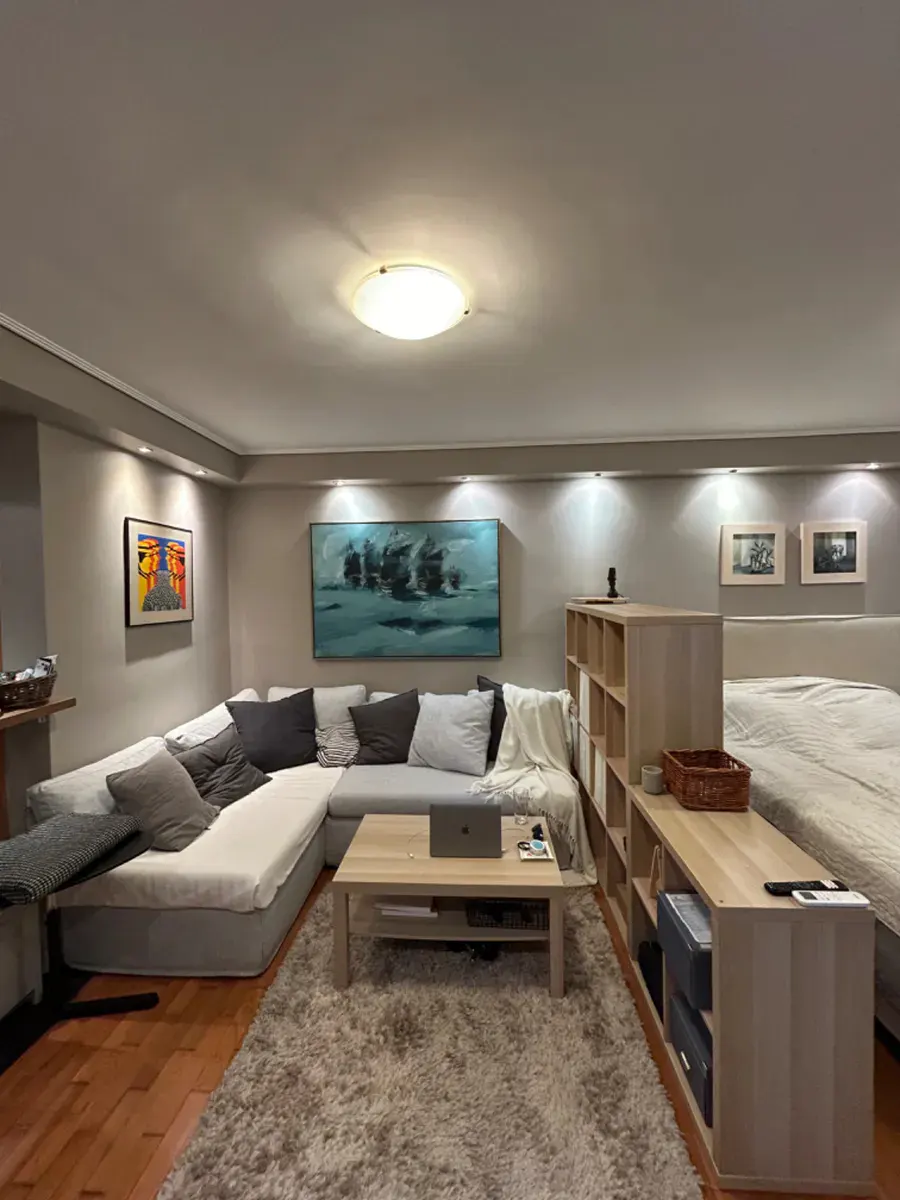 Modern studio apartment with a gray sectional sofa, wooden coffee table, and a room divider separating the bed area.