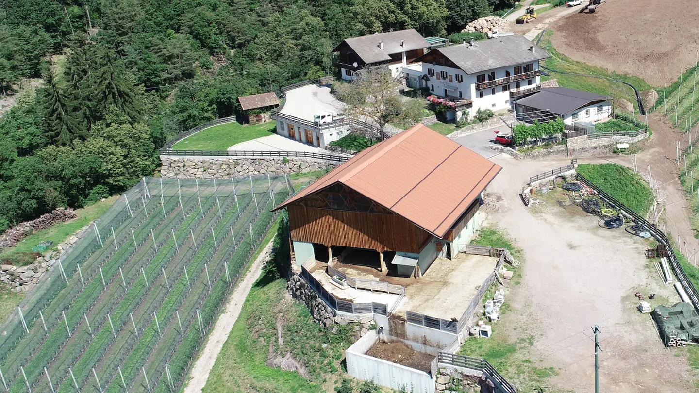 Aerial view of a farm with a brown barn, vineyard with netting, and white houses surrounded by green trees.
