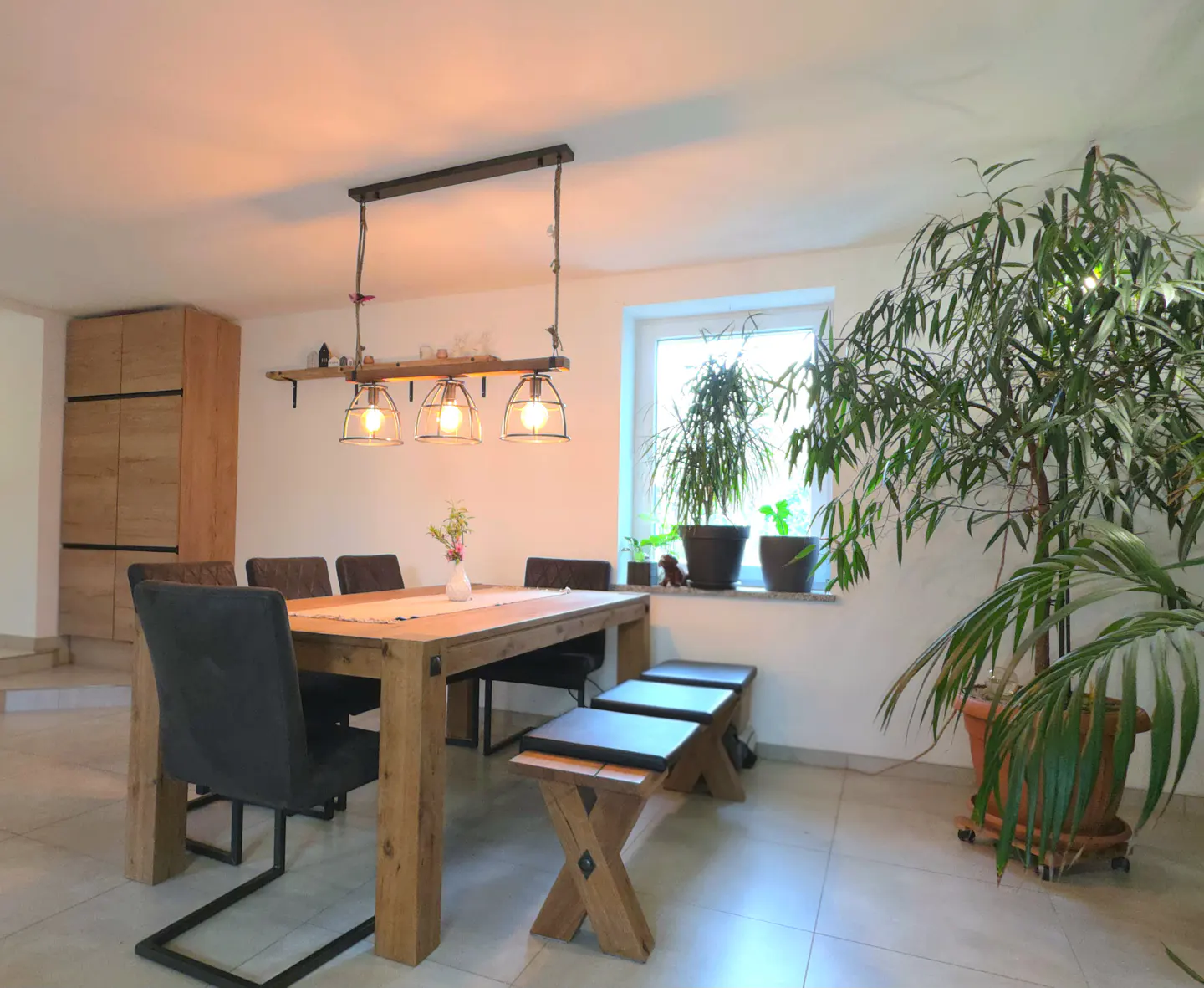 Dining room with a wooden table, chairs, and benches under a pendant light. Potted plants near a window add greenery.