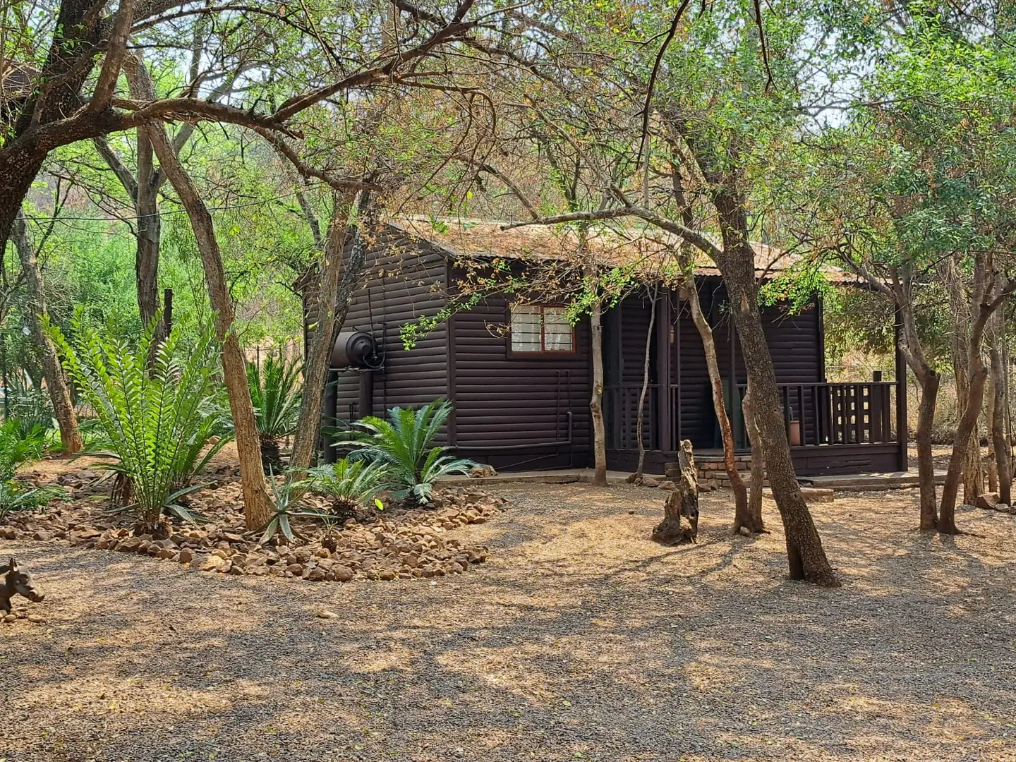 WhatsApp Image 2026-04-15 at 14.48.43 (2).jpeg