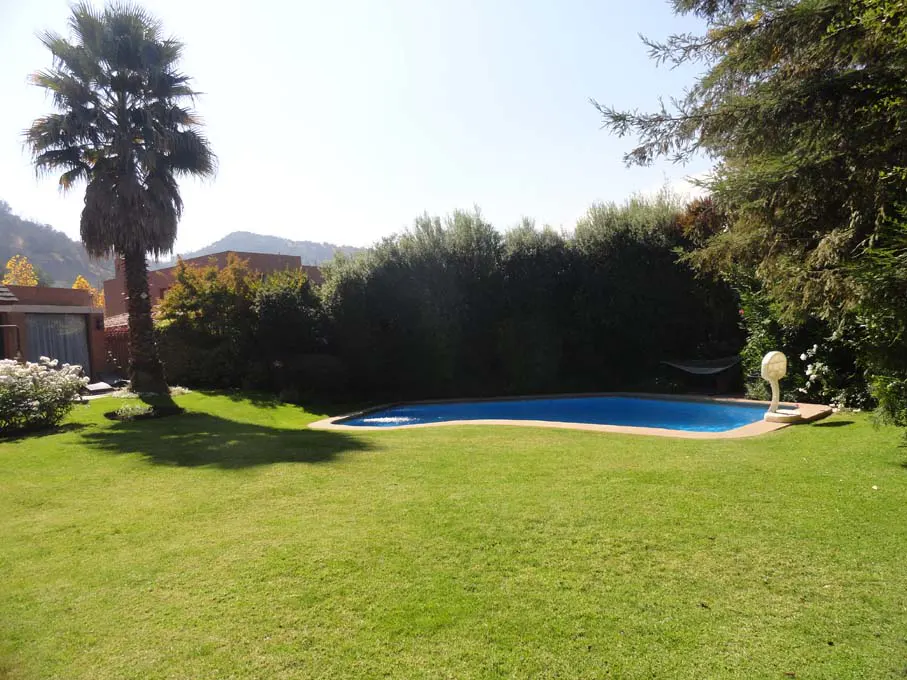 A backyard with a blue swimming pool, green grass, trees, and a palm tree on a sunny day.