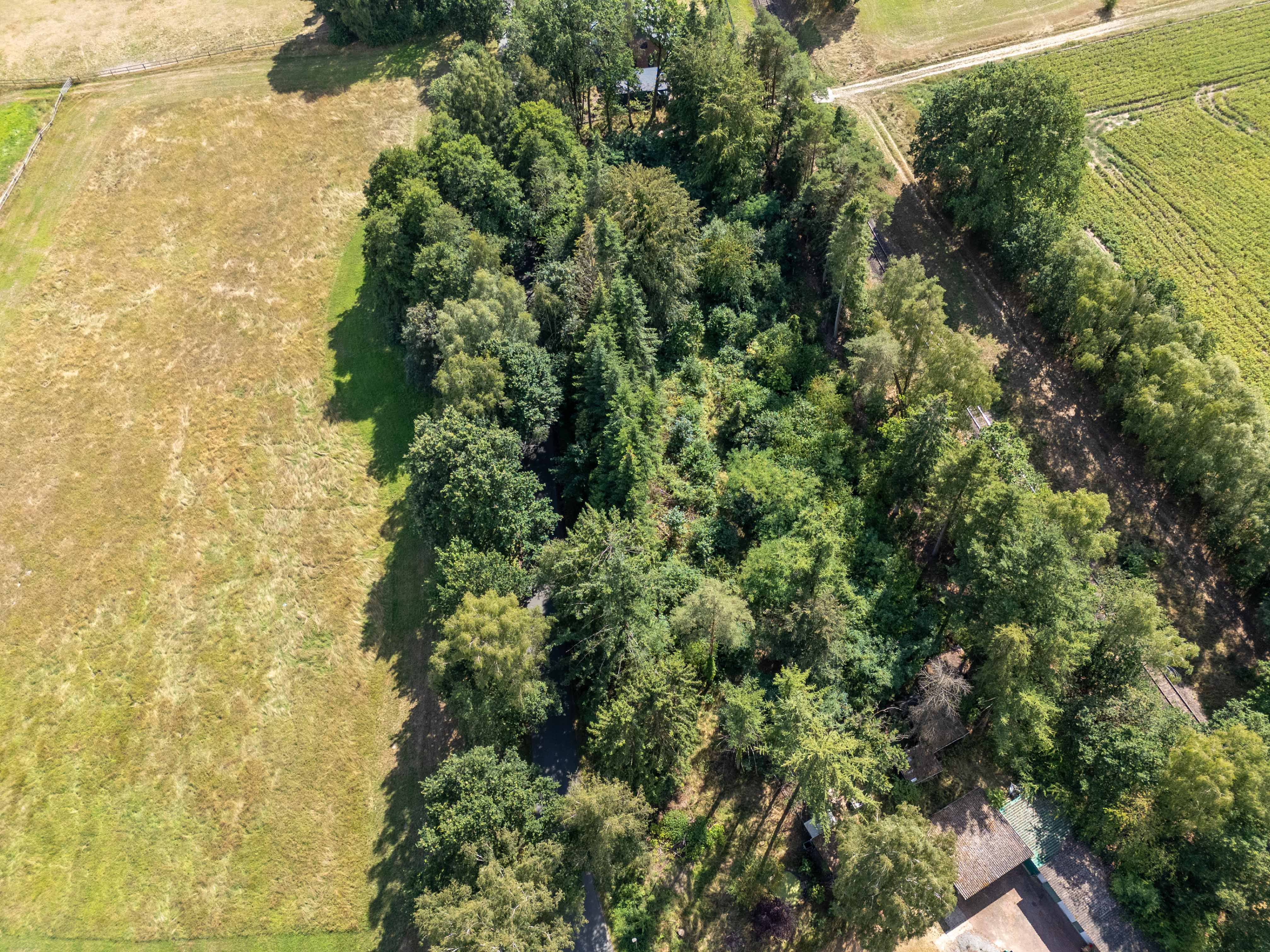 Attraktives Grundstück in Walsrode-Borg für Ihr neues Zuhause
