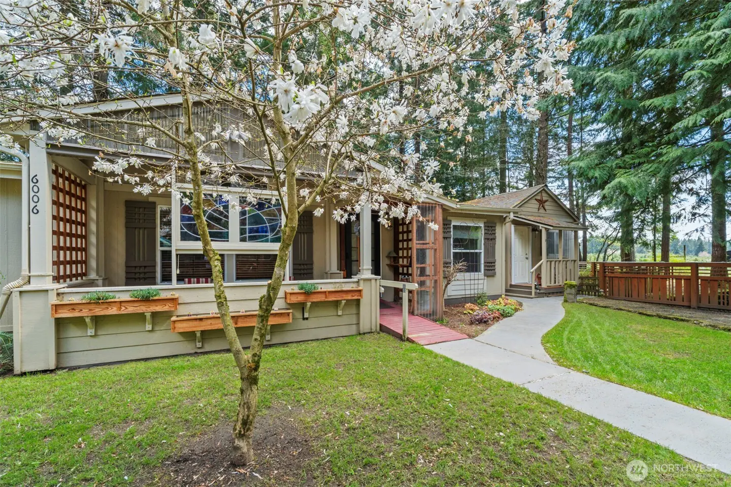 A tan house with a white flowering tree in front, a walkway, and green grass.