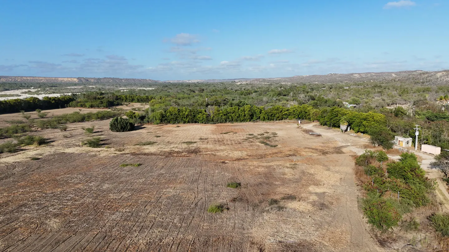 Aerial view of a large, dry, brown field bordered by green trees under a blue sky.