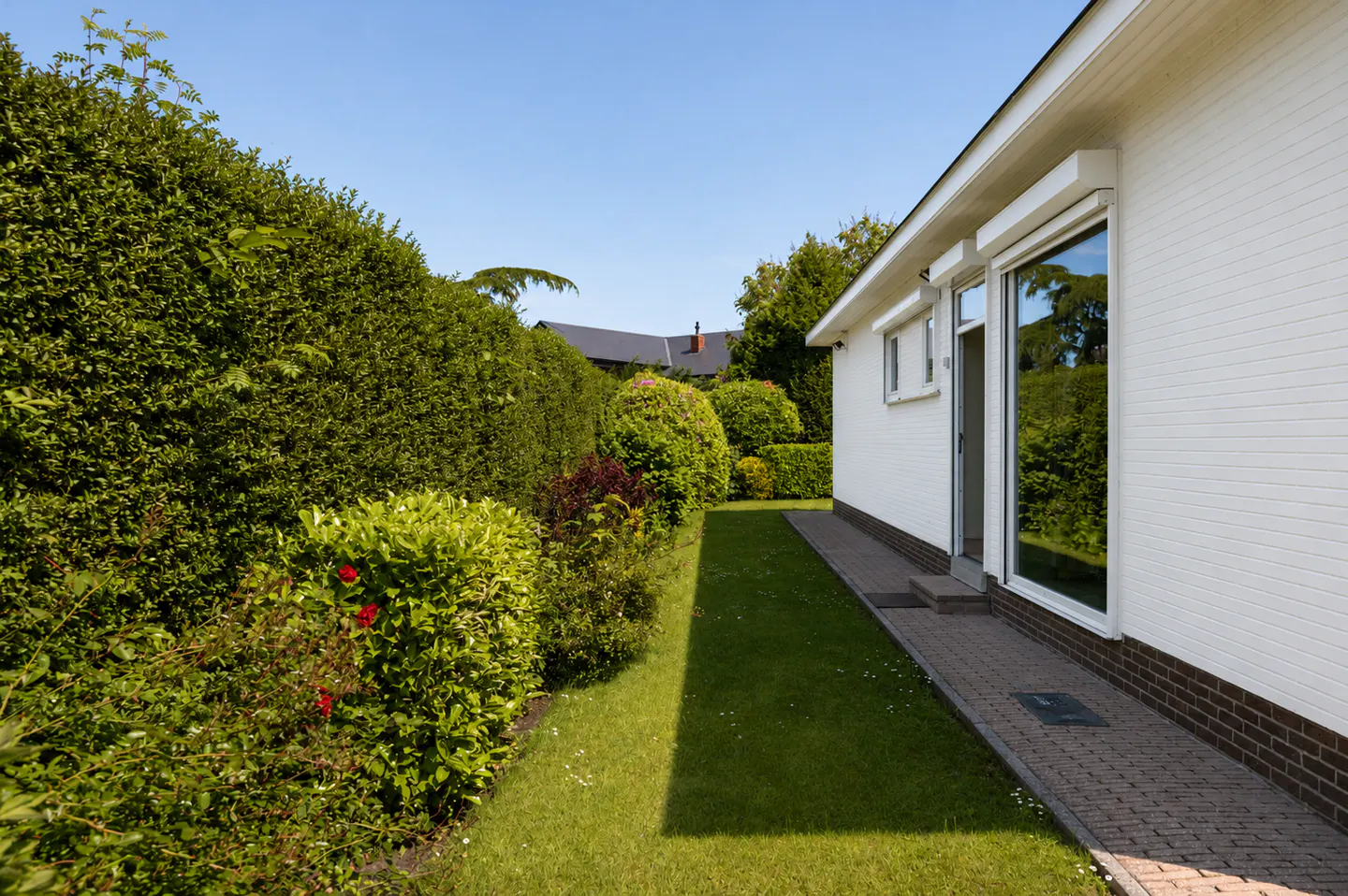 A white house with a brick path and green lawn. A tall green hedge borders the lawn. The sky is blue.