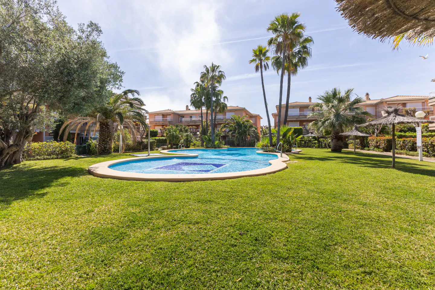 A kidney-shaped pool with blue mosaic tiles sits on a green lawn, surrounded by palm trees and buildings.