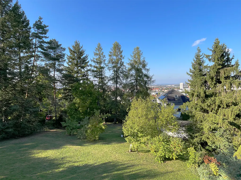 View of a green lawn surrounded by tall trees under a clear blue sky. A city skyline is visible in the distance.
