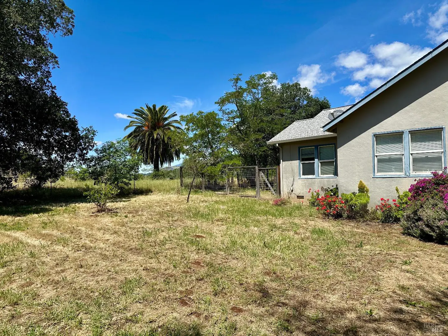 Backyard view of a beige house with blue trim, a palm tree, and a metal fence under a blue sky.