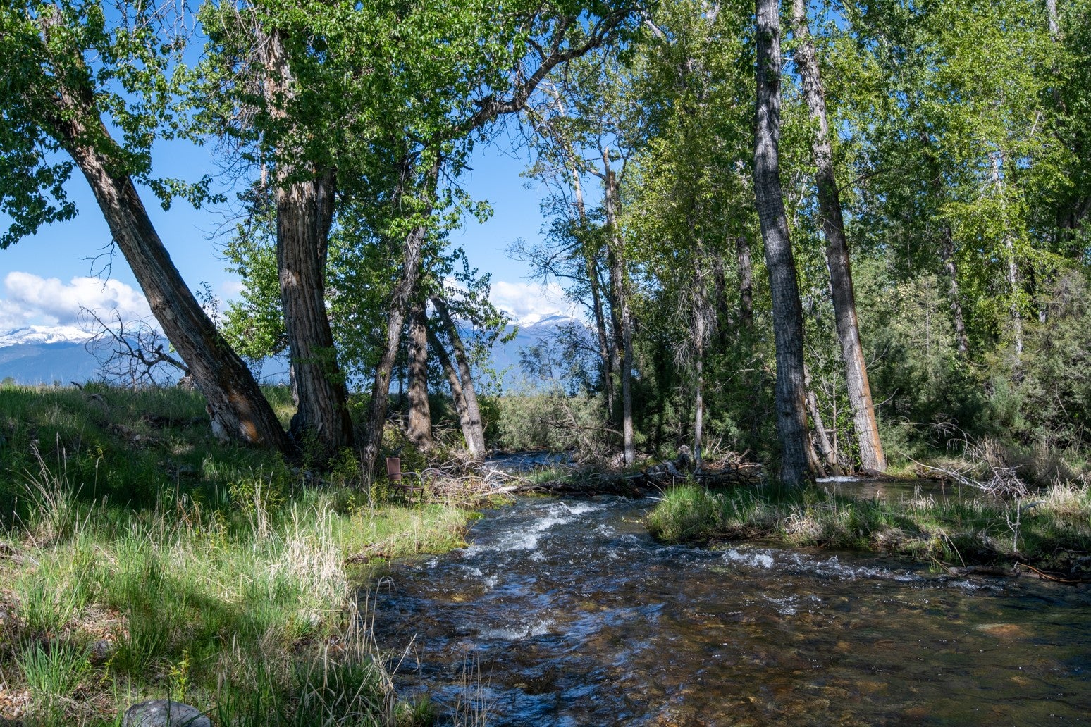 Scenic Acreage With A Year-Round Creek & Captivating Views