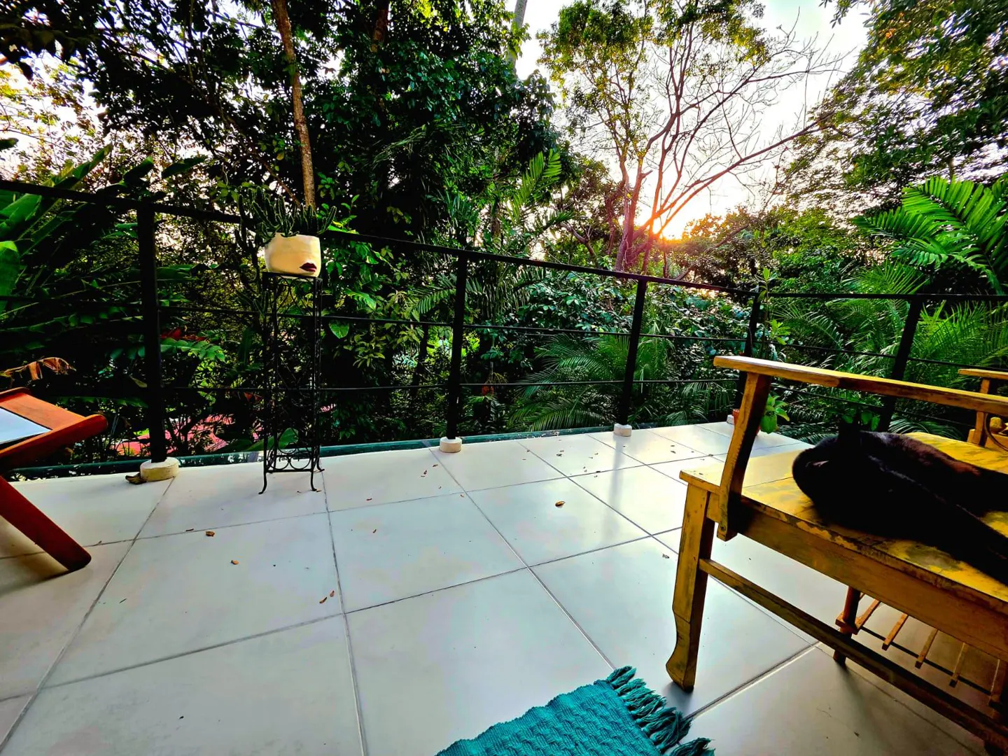 Outdoor patio with tile floor, black railing, and lush green trees. A yellow chair with a black cat sits on the right.