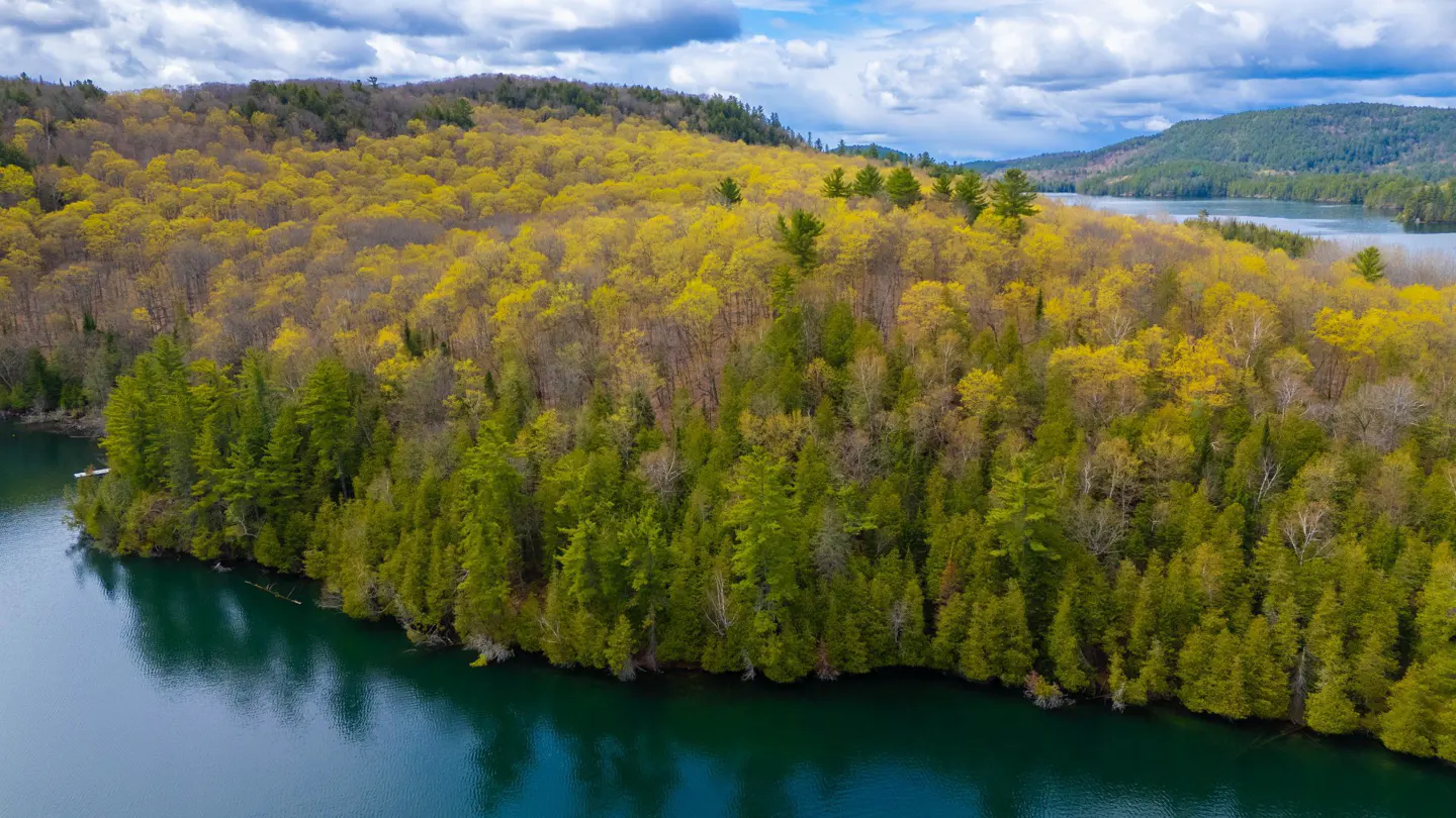 Aerial view of a lush forest with yellow and green trees bordering a calm, deep blue lake under a cloudy sky.