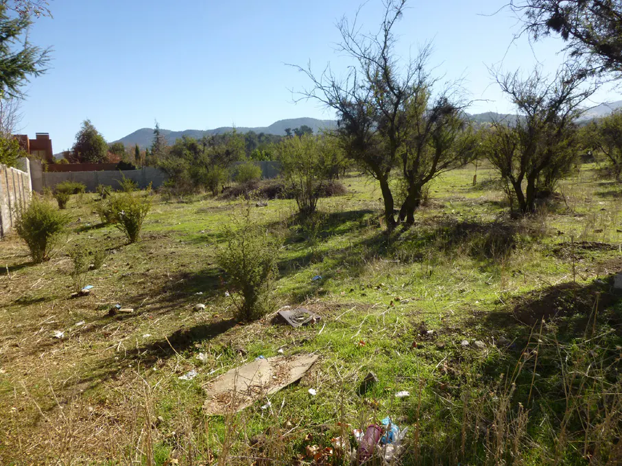 Vacant lot with green grass, scattered trash, and small trees under a blue sky. Mountains are visible in the background.