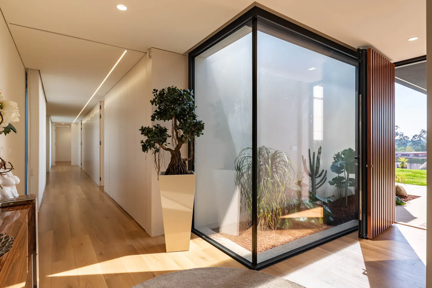 Hallway with wood floors, white walls, and a glass-enclosed garden with plants. A bonsai tree sits in a tall, white pot.