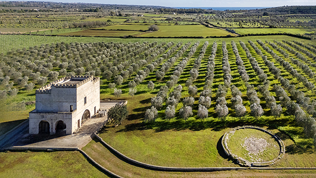 Frescoes and sea view nestled in an olive grove