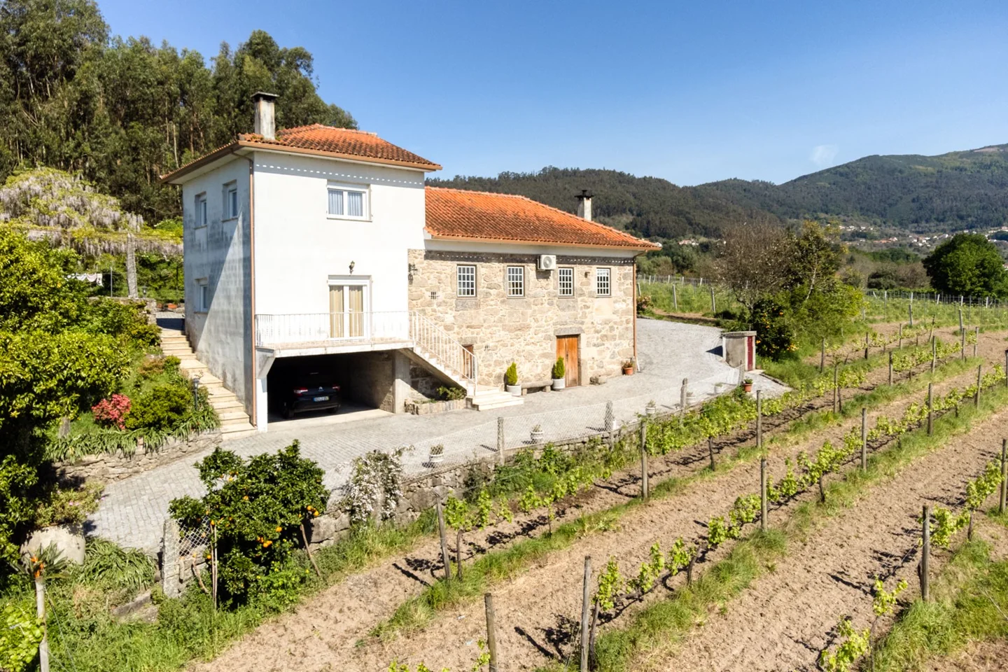 Country House with Three Hectares of Vineyard