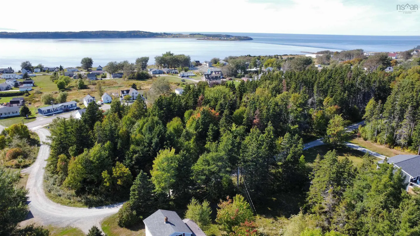 Aerial view of a wooded lot with a glimpse of the ocean and a small town in the background. Green trees dominate the foreground.