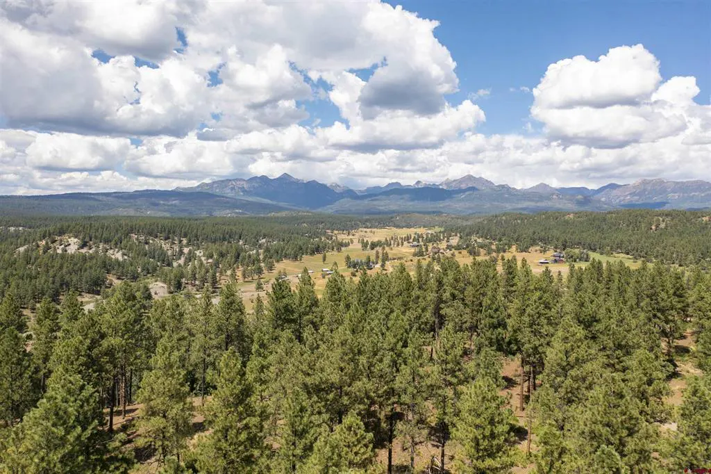 Scenic view of a lush green forest with mountains in the background under a blue sky with fluffy white clouds.
