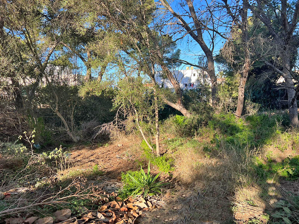 Plot  in sought after area