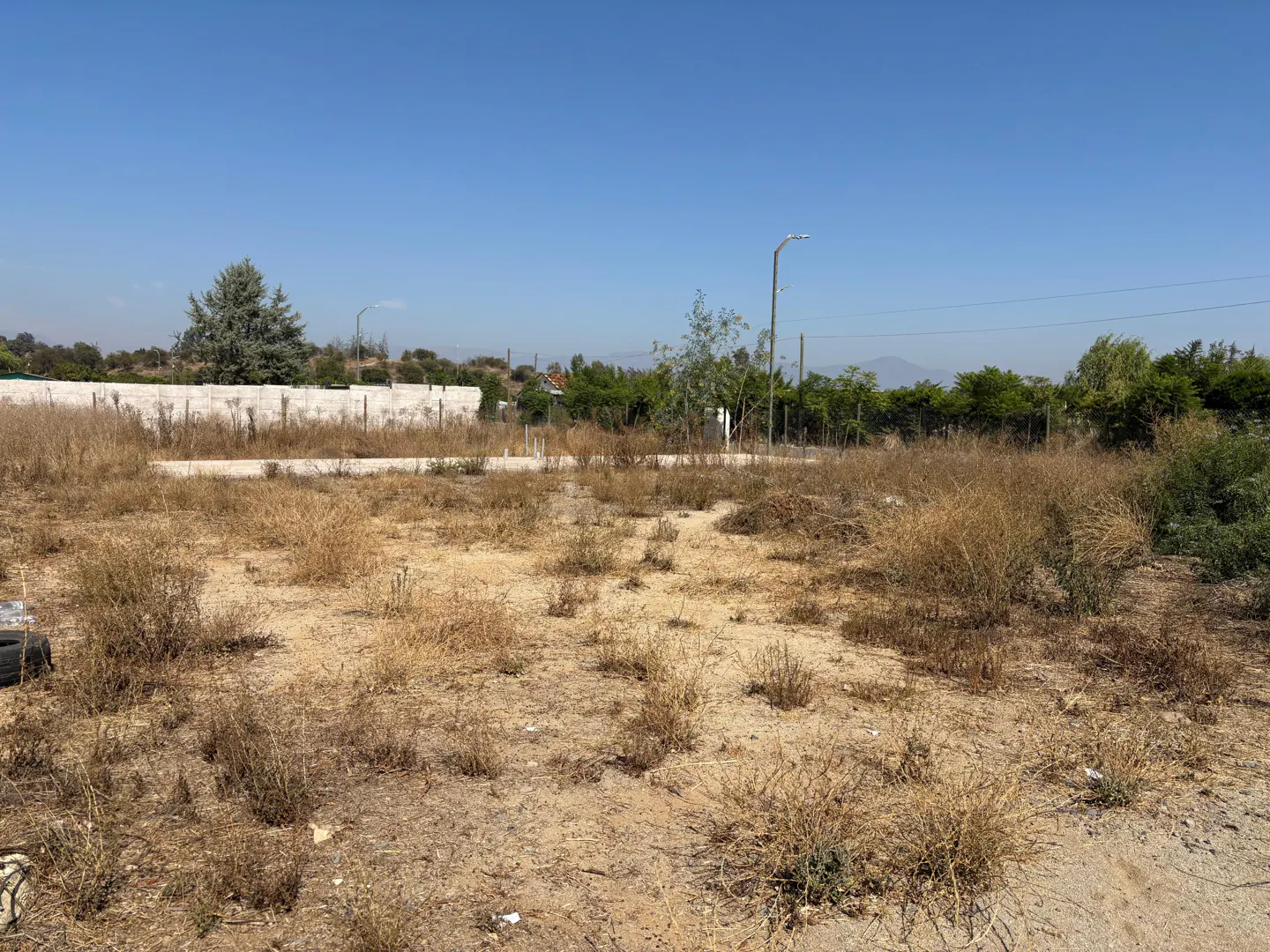 Vacant lot with dry grass and shrubs under a clear blue sky. A white wall and trees are in the background.