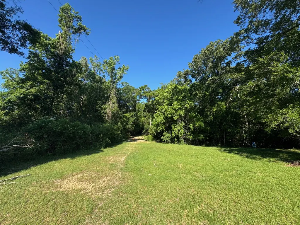 A grassy lot with trees on either side under a clear blue sky.