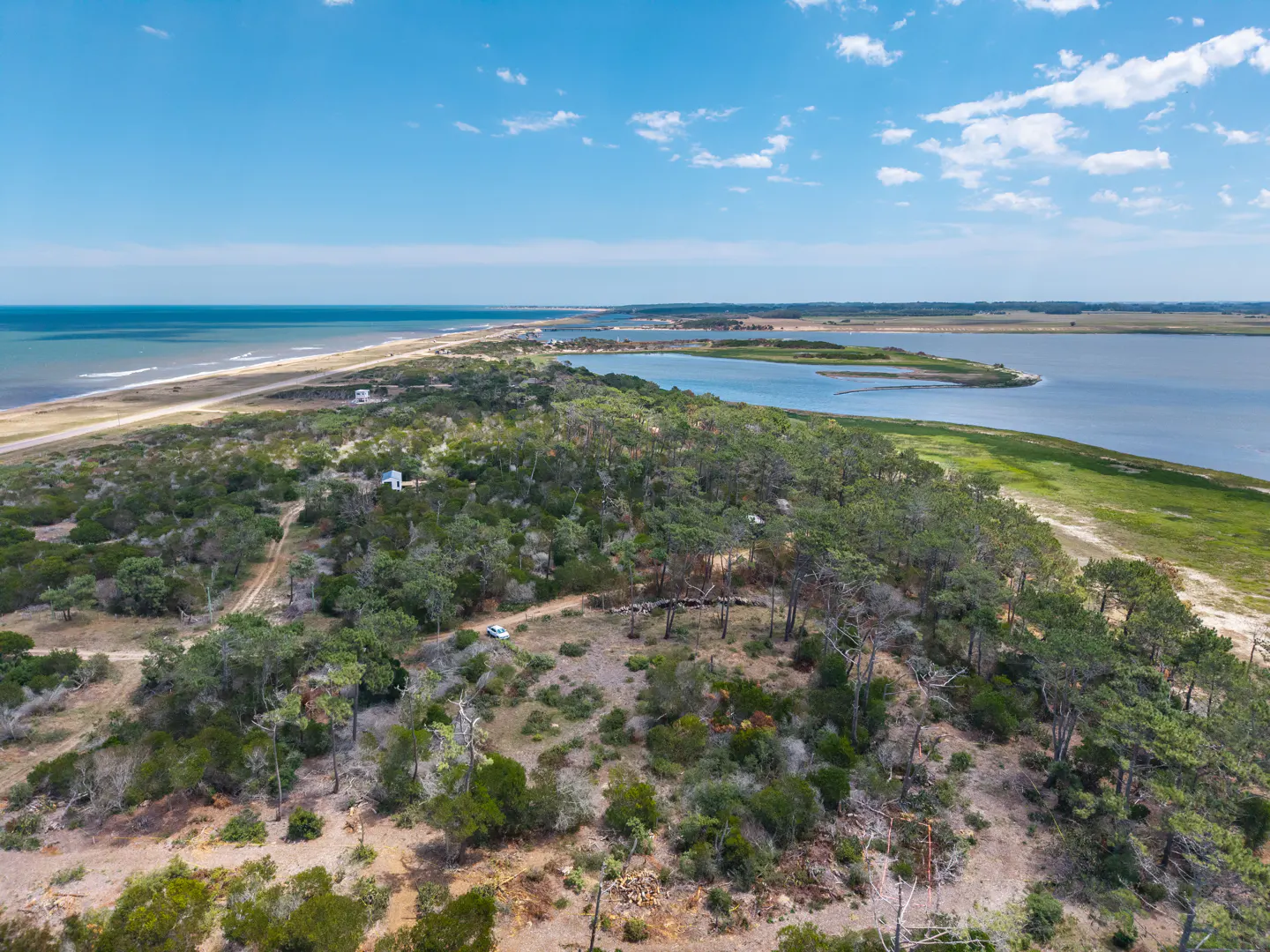 Aerial view of a coastal landscape with green trees, blue water, and a sandy beach under a partly cloudy sky.