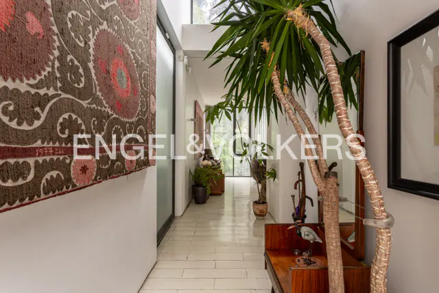 Hallway with white walls, light wood floors, and tall plants. A tapestry hangs on the left wall. Natural light streams in from the end of the hall.