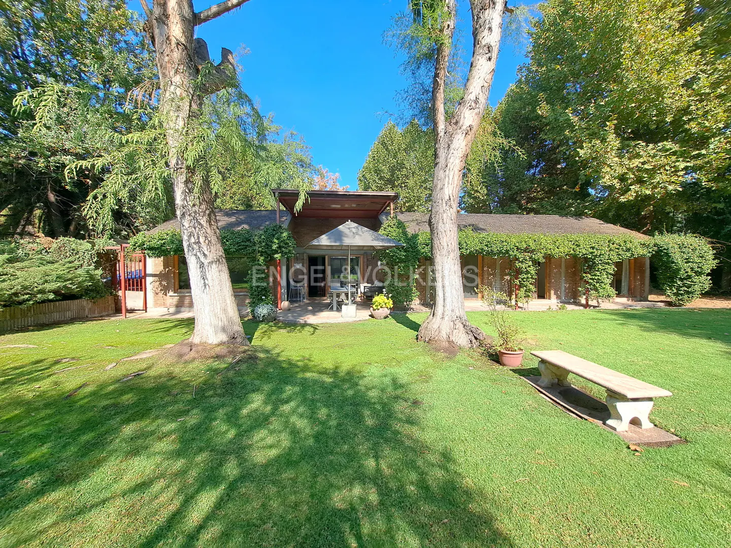 A single-story house with a vine-covered facade, a patio with an umbrella, and a stone bench on a lush green lawn.