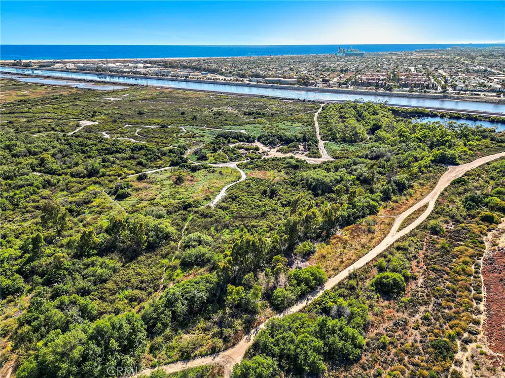 Aerial view of a green marshland with dirt paths, a blue river, and a city skyline under a clear blue sky.