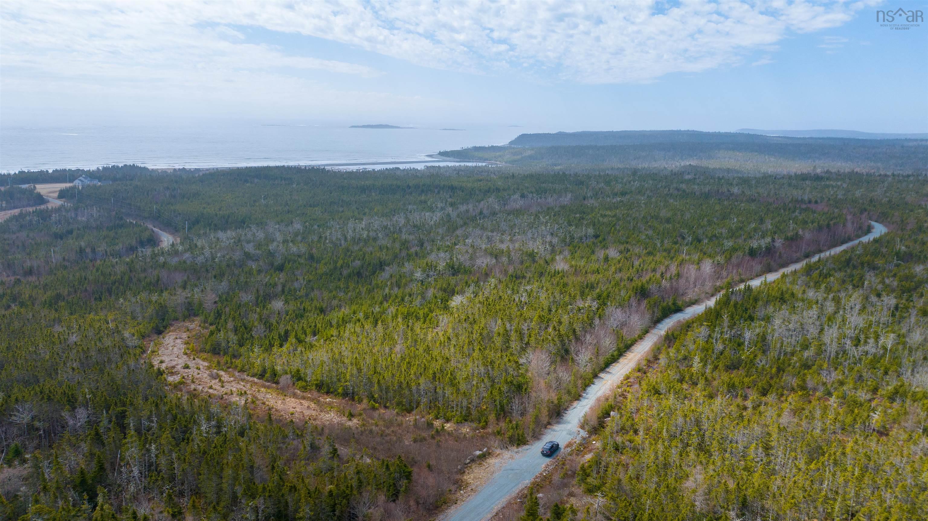 Aerial view of a winding road through a dense green forest leading to the ocean under a cloudy sky. A car is visible on the road.