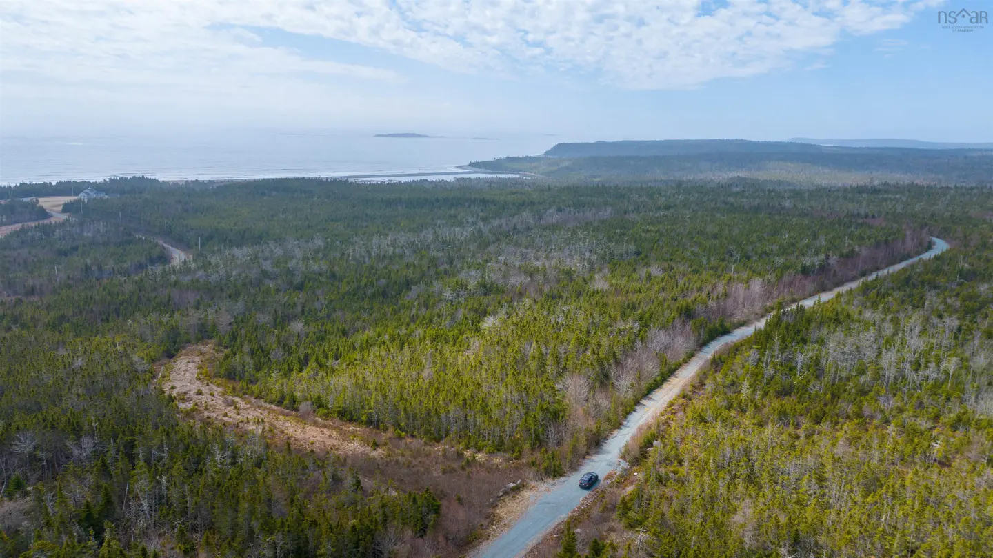 Aerial view of a winding road through a dense green forest leading to the ocean under a cloudy sky. A car is visible on the road.