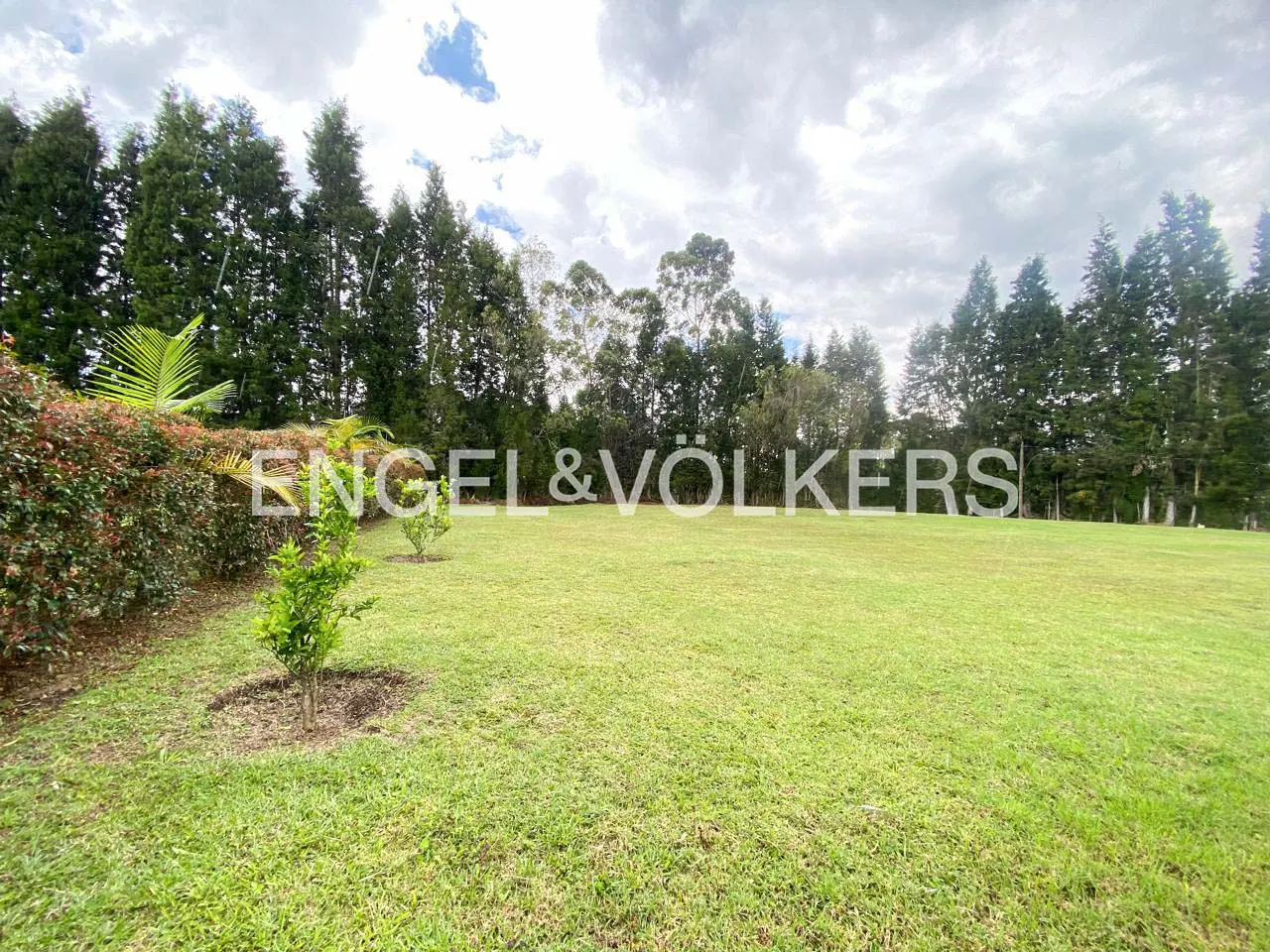 Lawn with Engel & Völkers logo, green grass, trees, and cloudy sky.