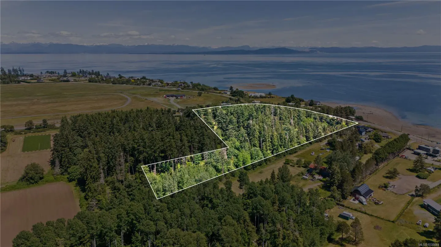 Aerial view of two adjacent wooded lots outlined in white, near the ocean and mountains.