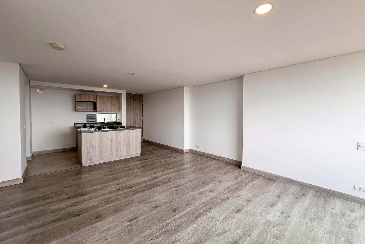 An open-concept apartment with wood floors, white walls, and a kitchen island. The kitchen has wood cabinets and a black countertop. A light fixture is on the ceiling.