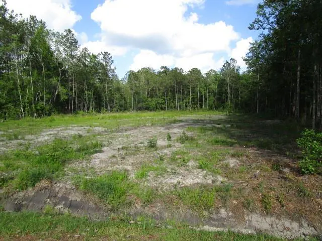 A vacant lot with green grass and trees under a blue sky with white clouds.