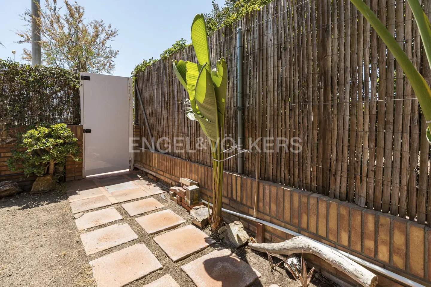 A garden path of square pavers leads to a white gate, bordered by a bamboo fence and greenery.
