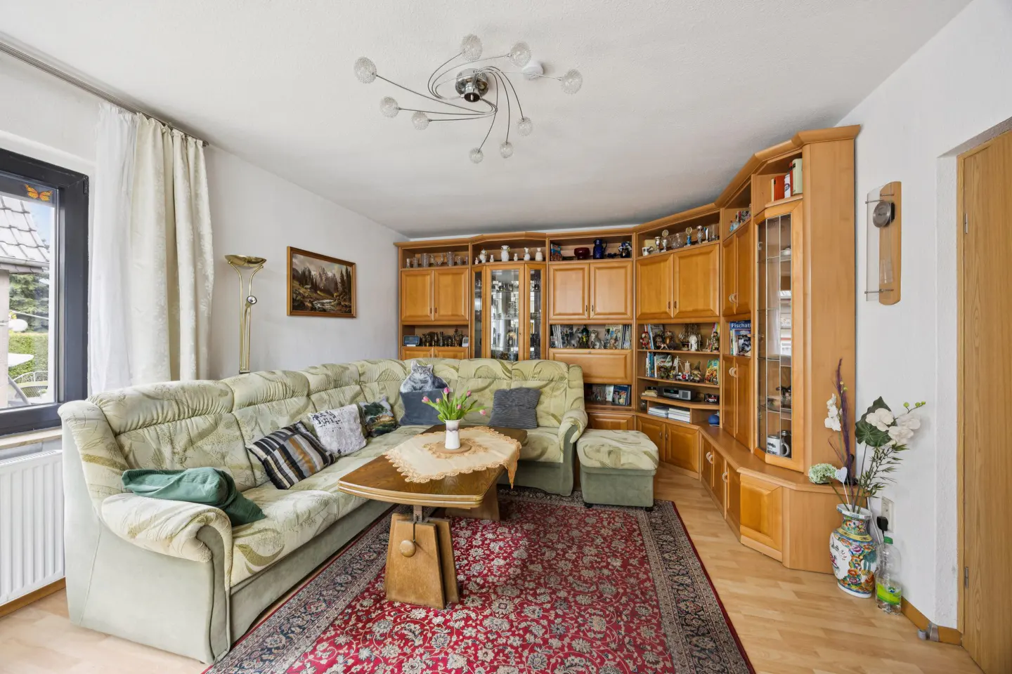 Living room with a green patterned sofa, wooden cabinets, a red rug, and a unique ceiling light fixture.