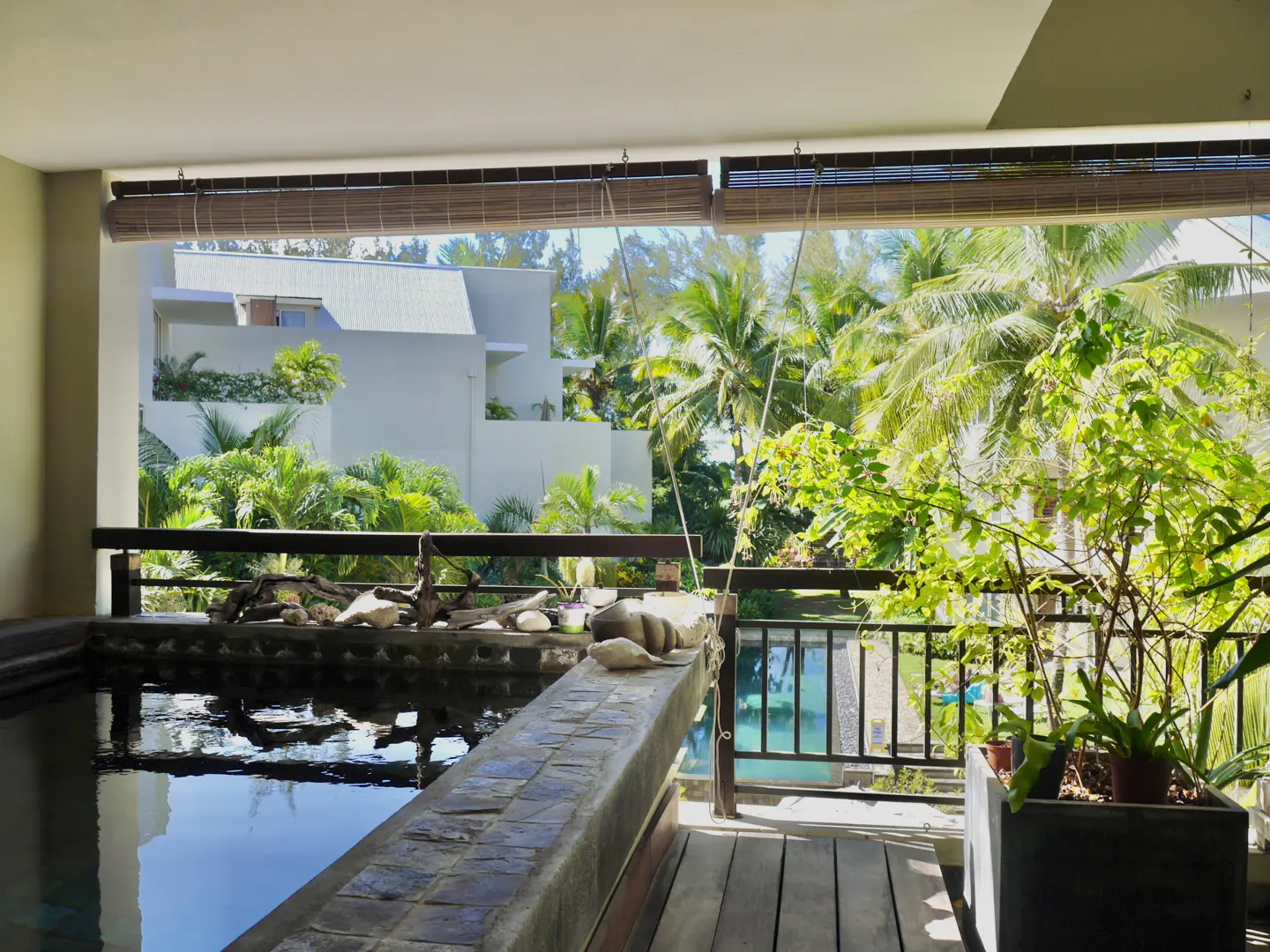 Balcony view with a dark pool, stone edge, and wooden deck. Lush green trees and a white building are visible beyond the railing.