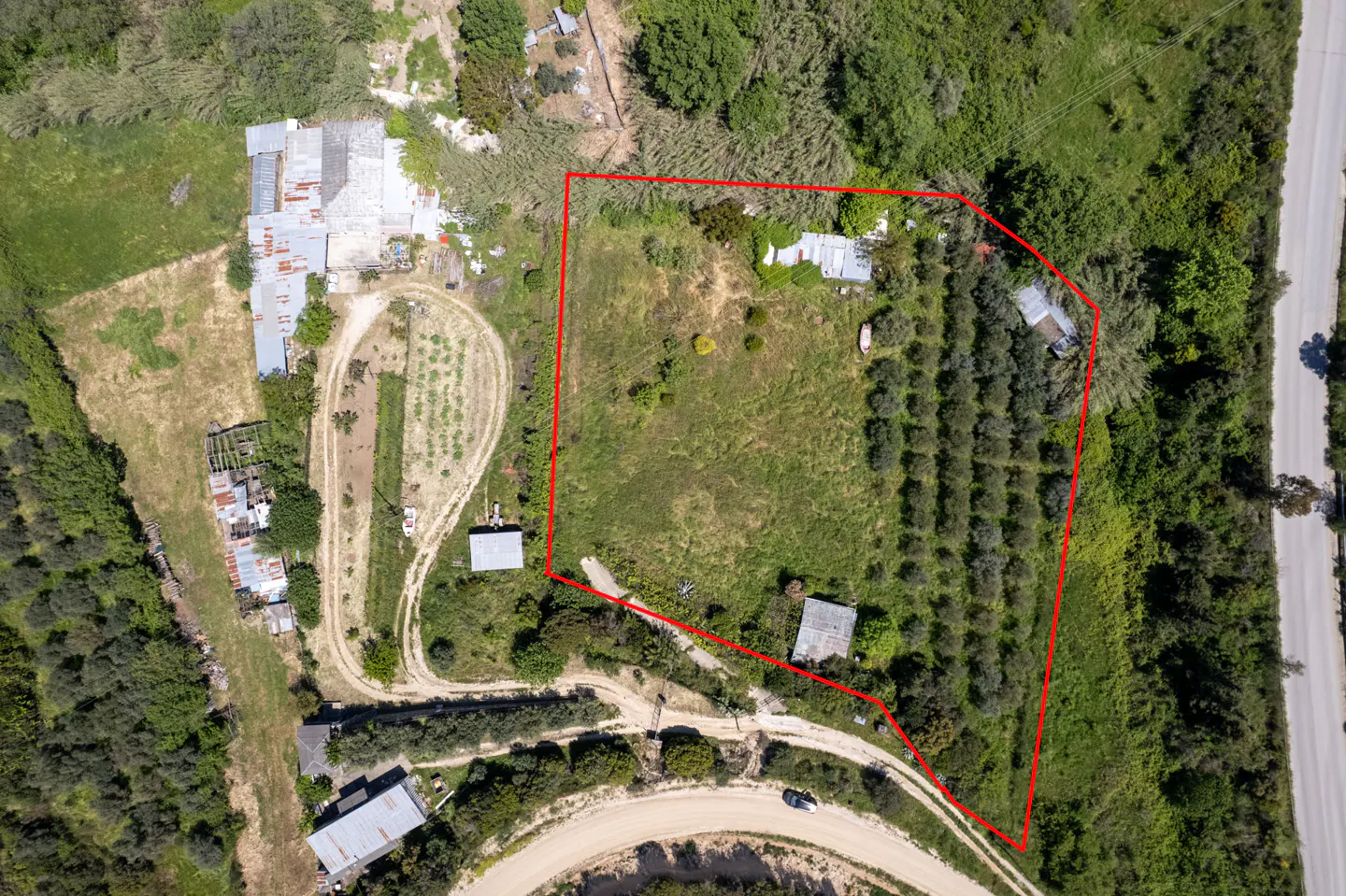 Aerial view of a property outlined in red, featuring a house, olive trees, and a dirt road, surrounded by lush greenery.