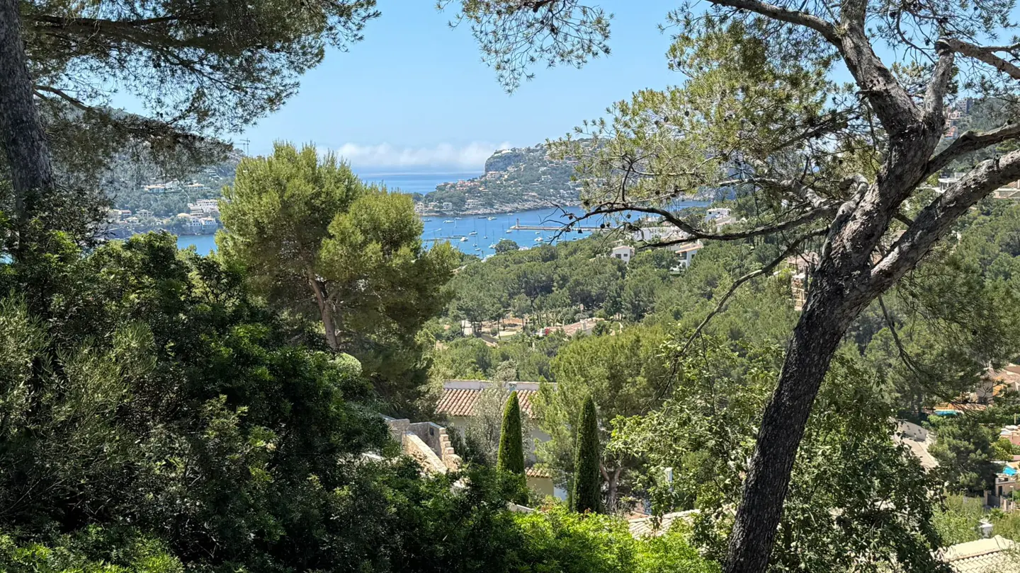 A scenic view of a blue Mediterranean bay framed by lush green pine trees, with boats anchored in the distance.