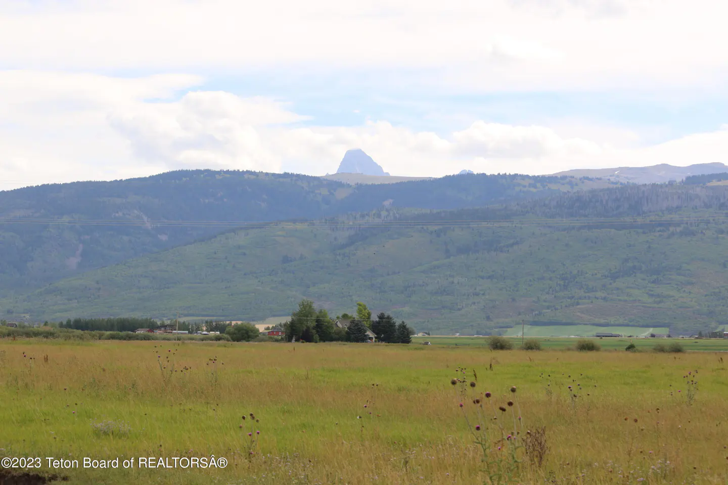 Landscape view of a green field with mountains in the background under a cloudy sky.