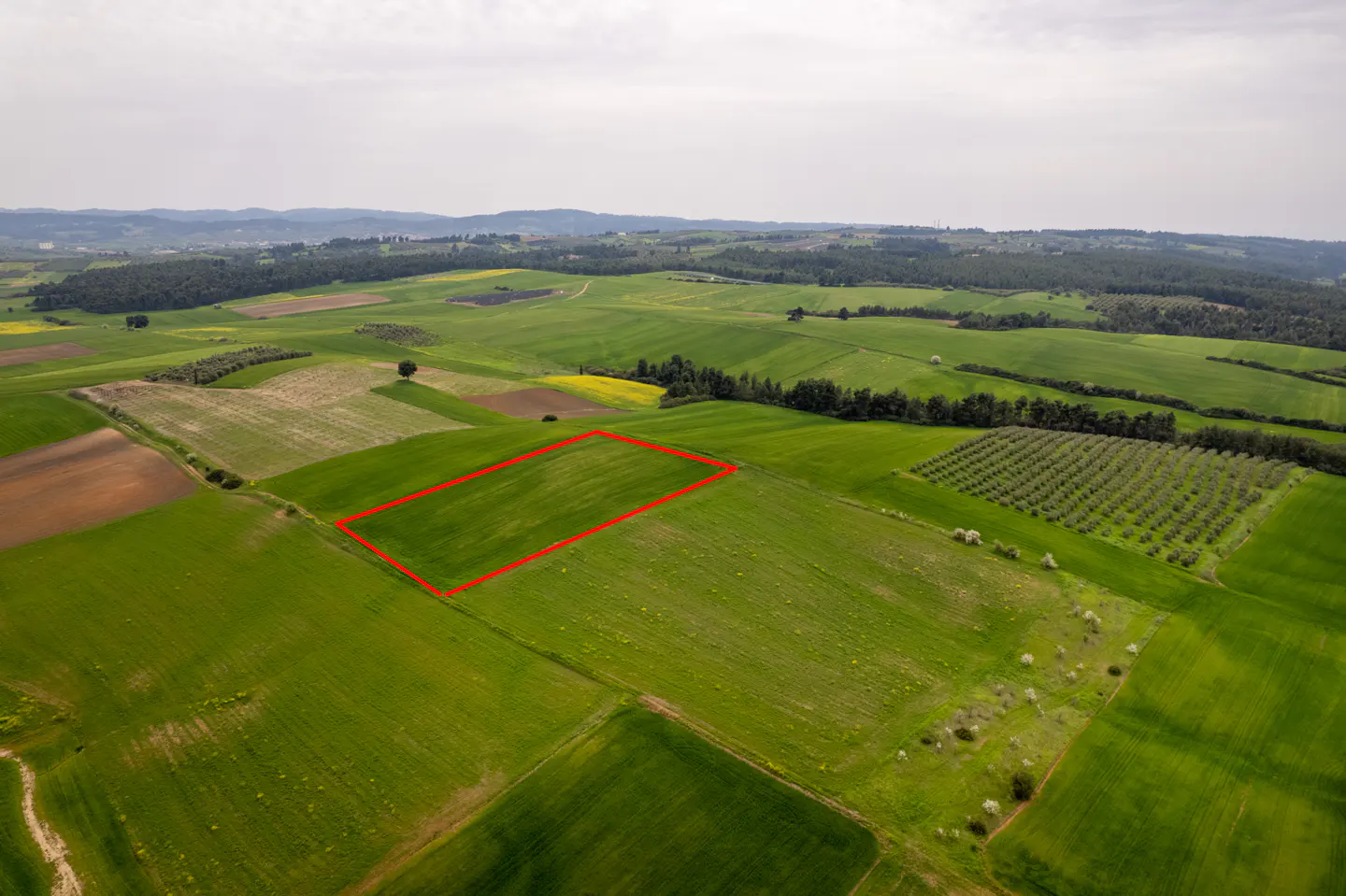 Aerial view of a green field with a red border, surrounded by trees and hills.