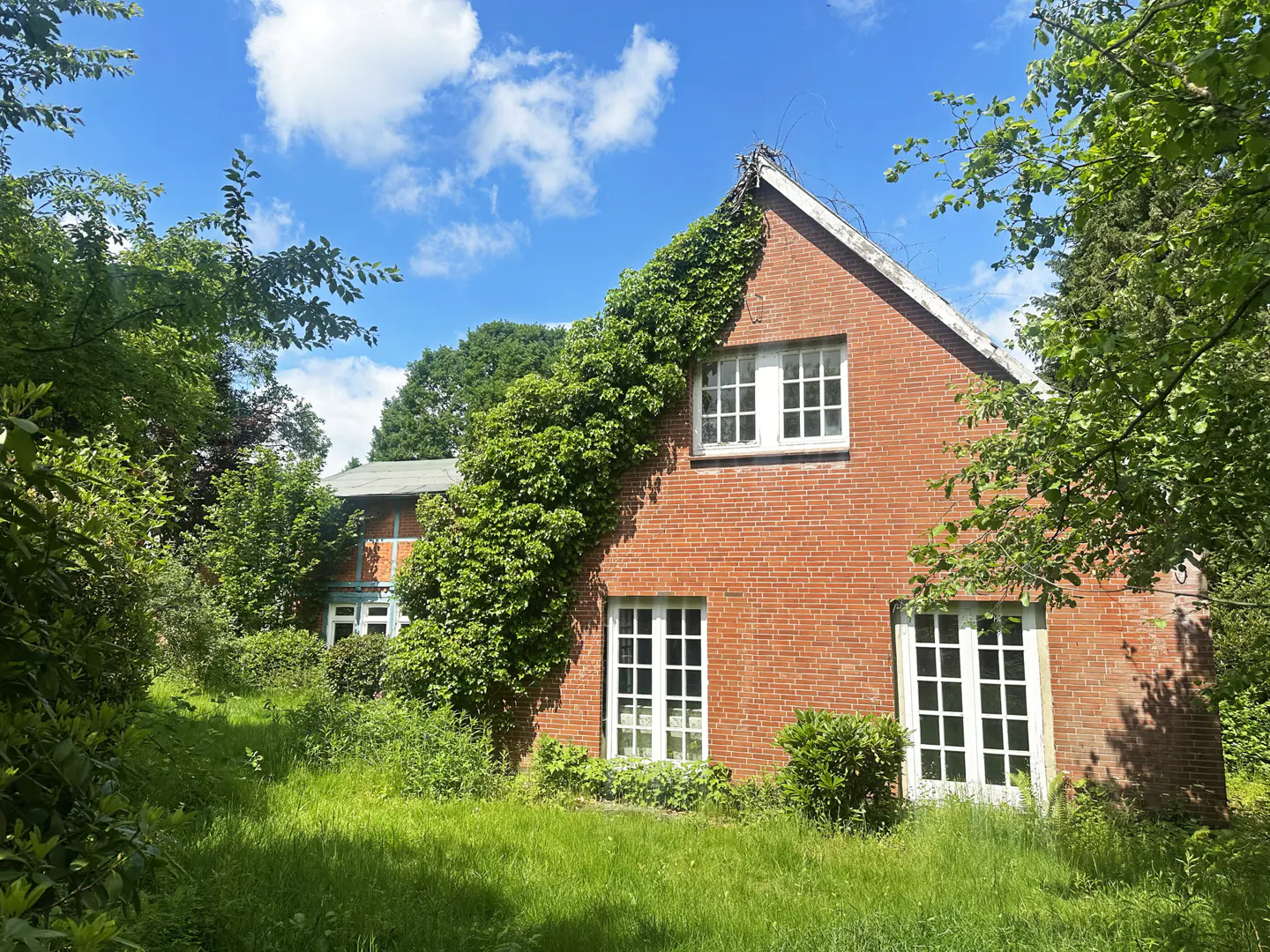 A red brick house with white-framed windows and ivy climbing the side, set in a lush, overgrown green garden.