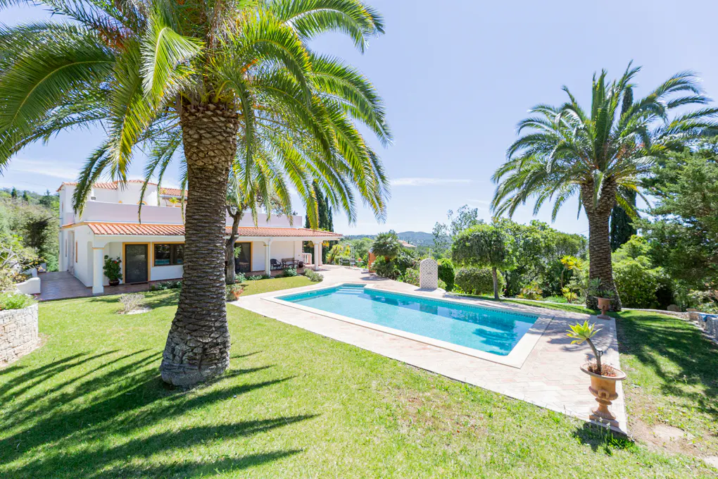 Exterior view of a white house with a red tile roof, a blue swimming pool, and palm trees on a sunny day.