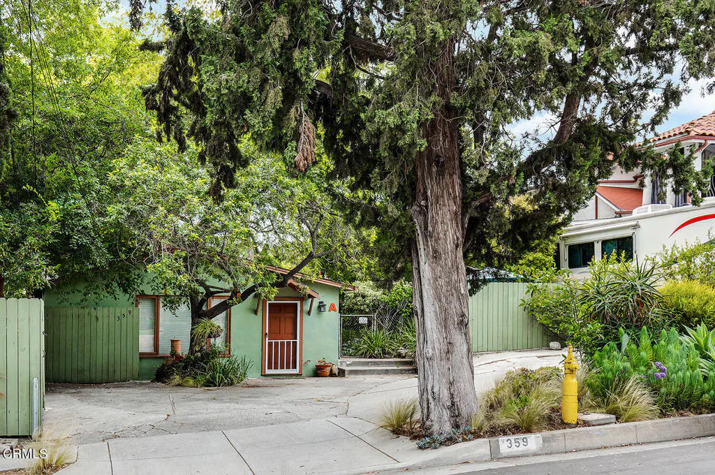 Exterior view of a green house with a brown door, surrounded by trees and greenery. A large tree stands in front of the house.